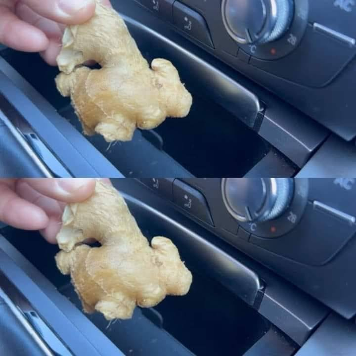 Why Keeping Ginger in Your Car Could Be a Lifesaver