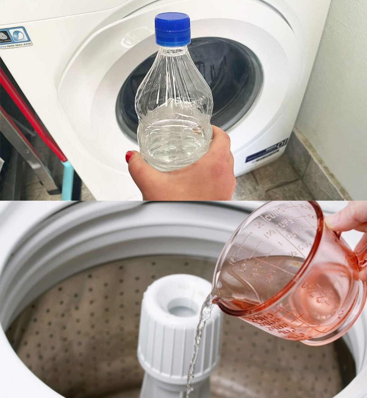 Why do you have to put white vinegar every time you wash in the washing machine? 7 great reasons