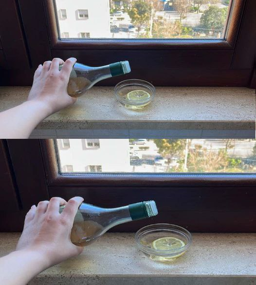 THEY’RE ALL PUTTING 1 PLATE OF VINEGAR AND LEMON ON THEIR WINDOWSILLS – HERE’S WHY