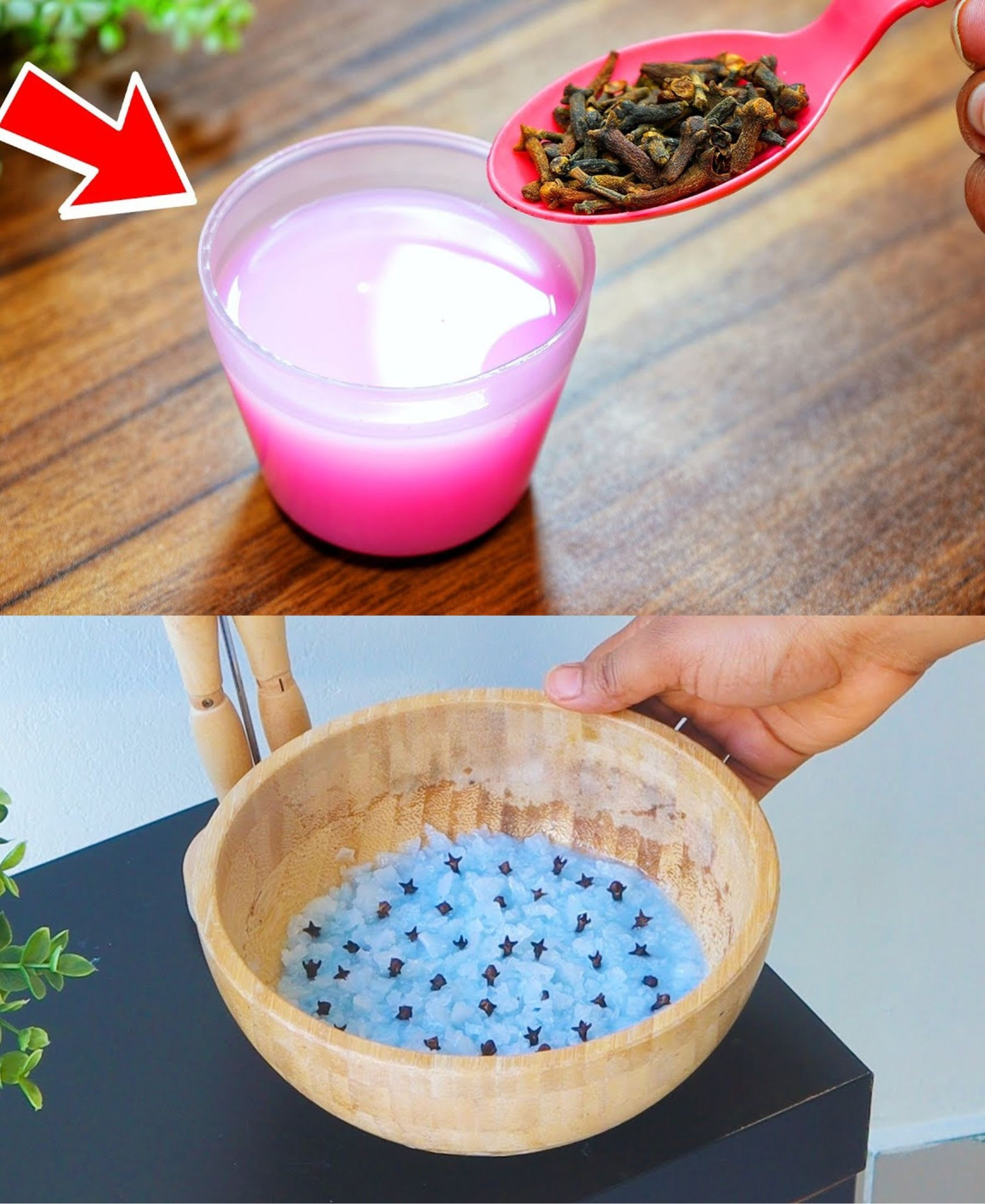 The most powerful natural repellent to immediately get rid of all insects in your home