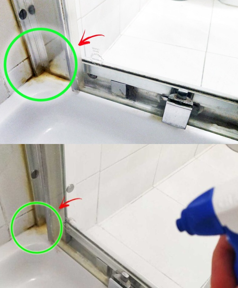 HOW TO REMOVE MOLD FROM THE SILICONE IN THE SHOWER