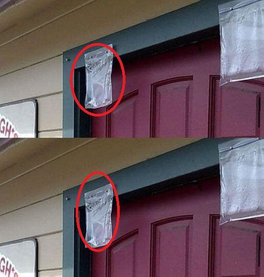 Many People Are Hanging Bags Of Water Above Their Doors To Deter Bugs