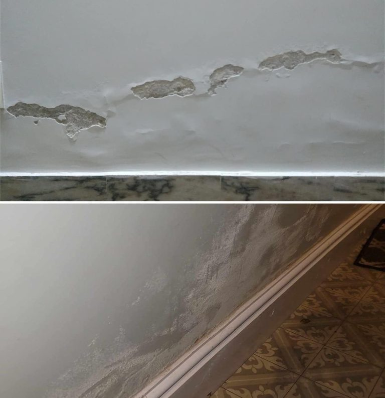 Rising Damp: The Easy and Economical DIY Method to Fix Walls Forever