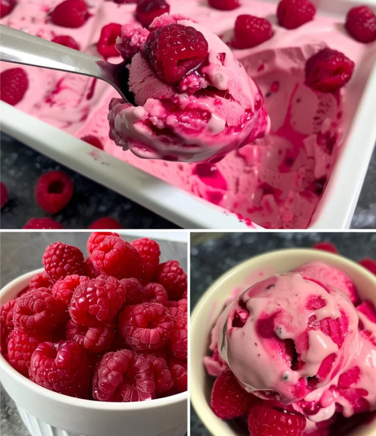 Vegan Raspberry Ice Cream