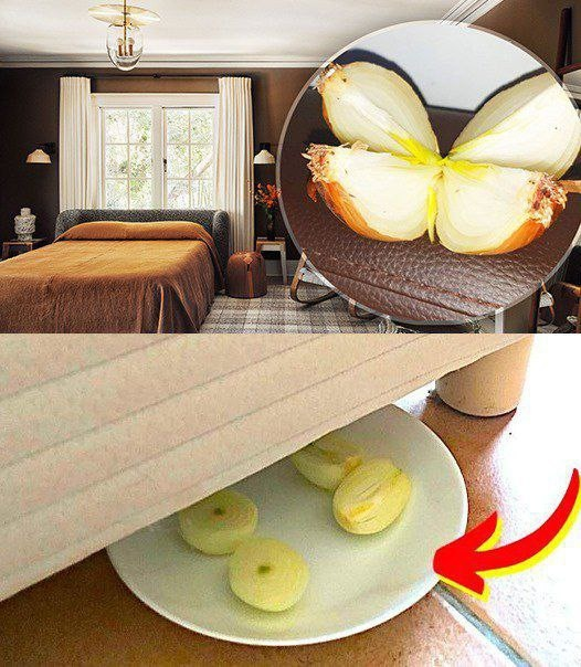 Why put an onion under the bed?