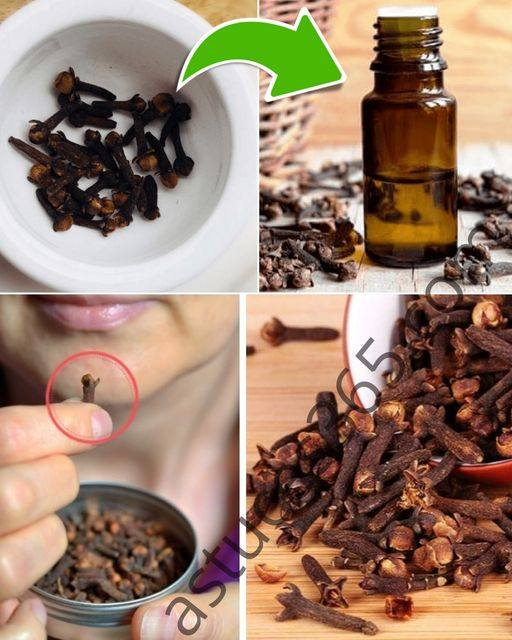 All Women Should Know These 7 Clove Tips