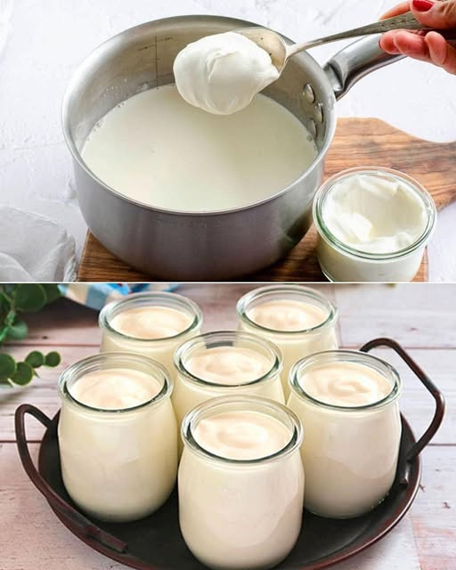 Homemade yogurt with 2 ingredients