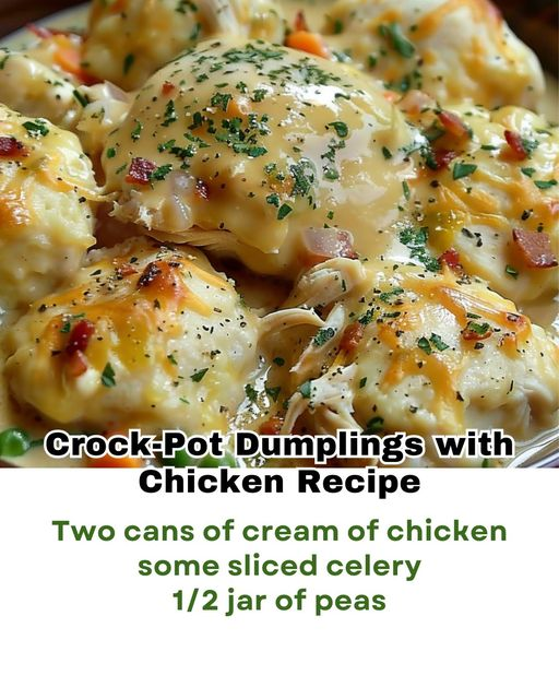 Crock-Pot Dumplings with Chicken Recipe