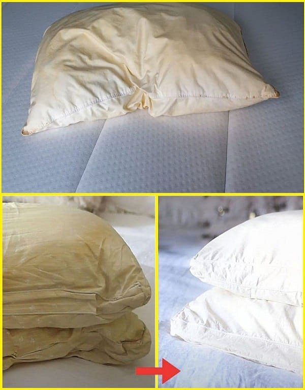 HomeHere’s how to clean dirty pillows from bed to leave them white and sweet scent Here’s how to clean dirty pillows from bed to leave them white and sweet scent