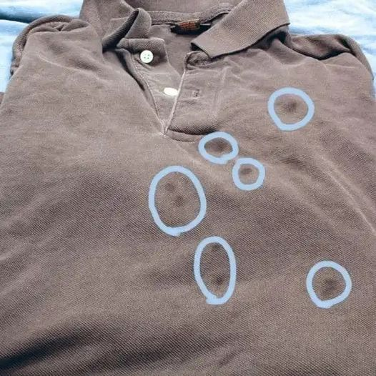 Ultimate Guide: Remove Set-In Grease Stains from Laundry