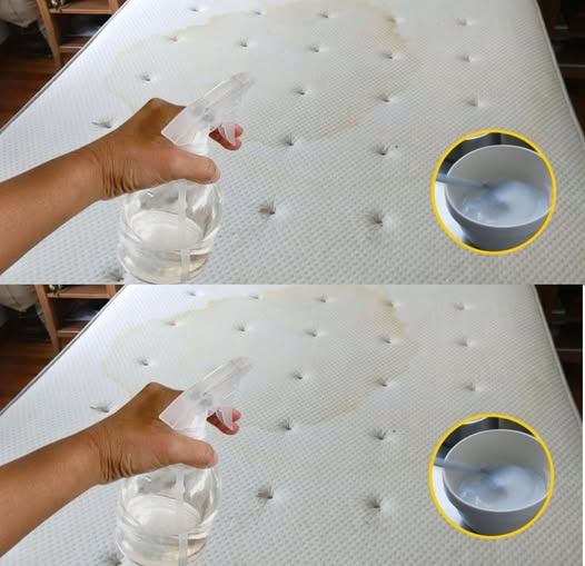 Disinfectant spray for the mattress: how to prepare it to eliminate mites and stains