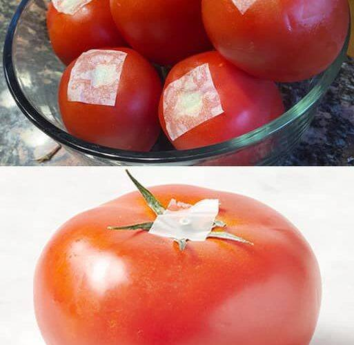 Grandma’s trick for keeping tomatoes fresh for several days