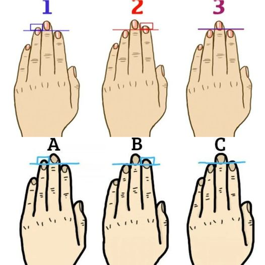 The length of your fingers says a lot about your personality