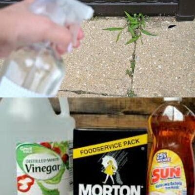 Natural Weed Killer Recipes