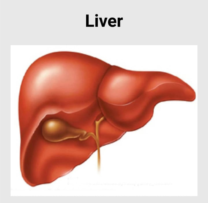 12 FOODS TO CLEAN YOUR LIVER