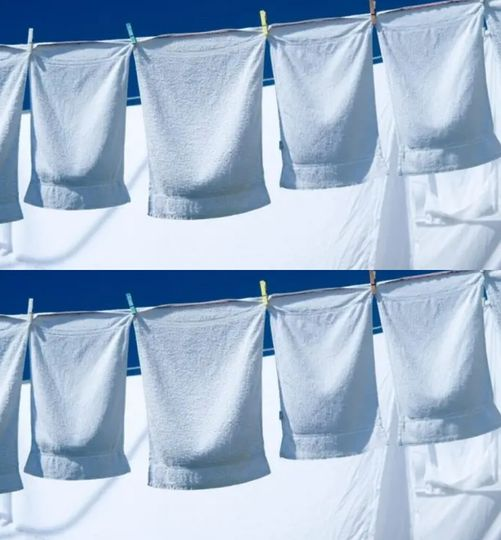 Besides bleach in the washing machine, here’s what you should use!