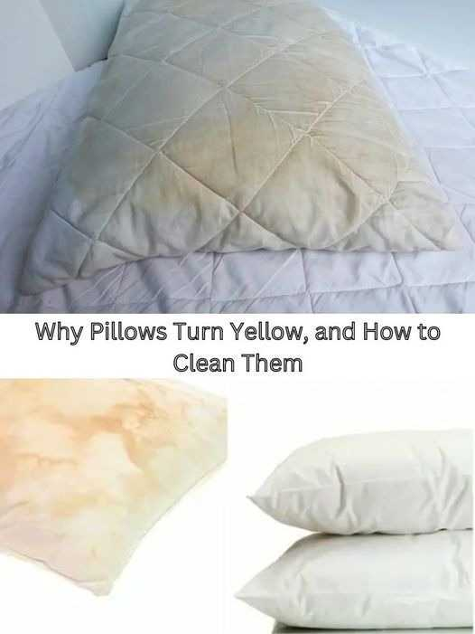 Here’s how to clean dirty bed pillows to leave them white and smelling sweet