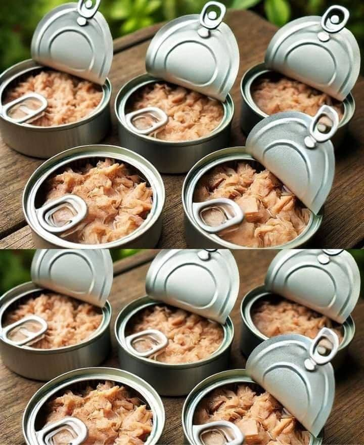 Creative Ways to Repurpose Empty Tuna Cans