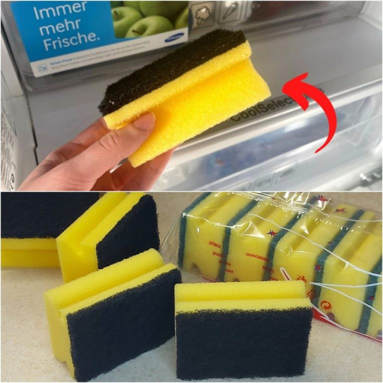 The Fridge Hack You Wish You Knew Sooner: A Simple Sponge Trick