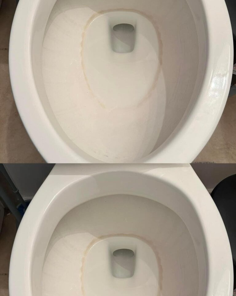 How to Get Rid of Tough Stains in a Toilet Bowl Using Only One Product