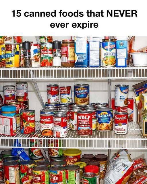 The Timeless Pantry 15 Canned Foods That Never Expire