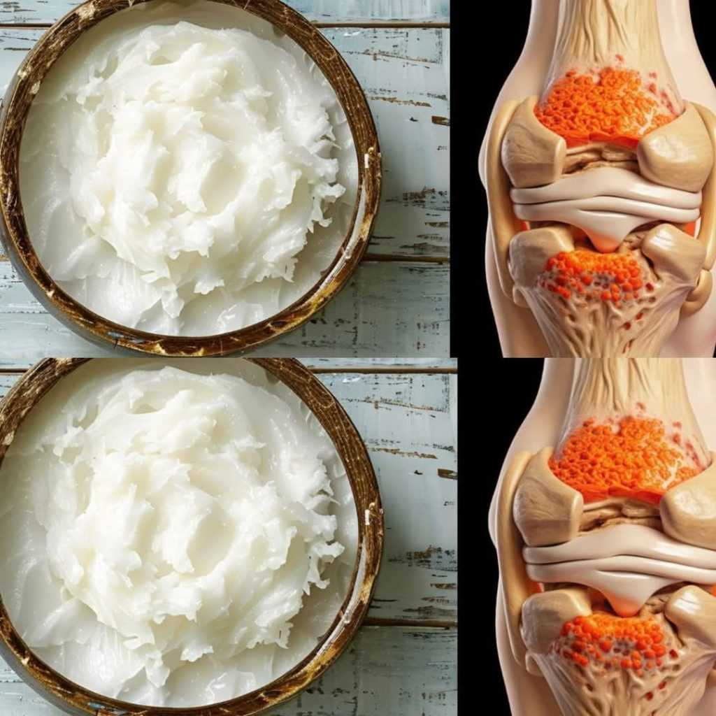 Foods to Rebuild Knee Cartilage: This Is What You Should Eat!