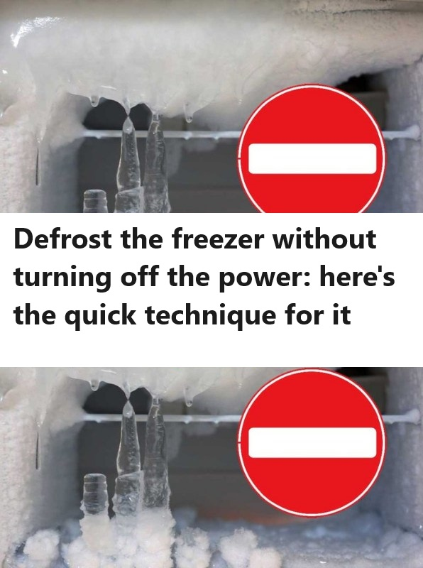 Defrost the freezer without turning off the power: here’s the quick technique for it