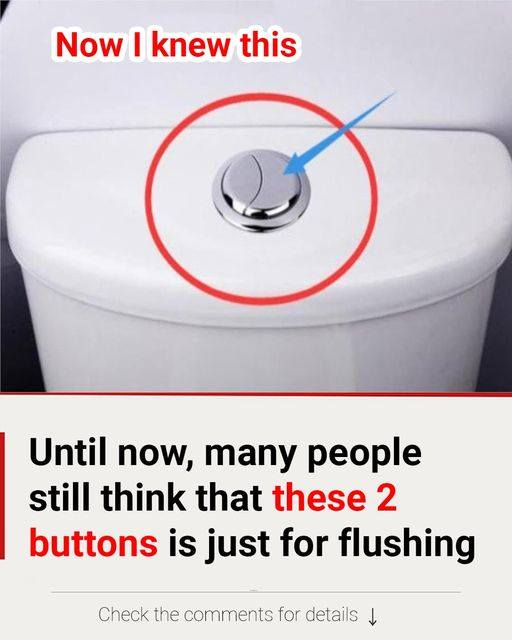 Many people still think that these 2 buttons is just for flushing