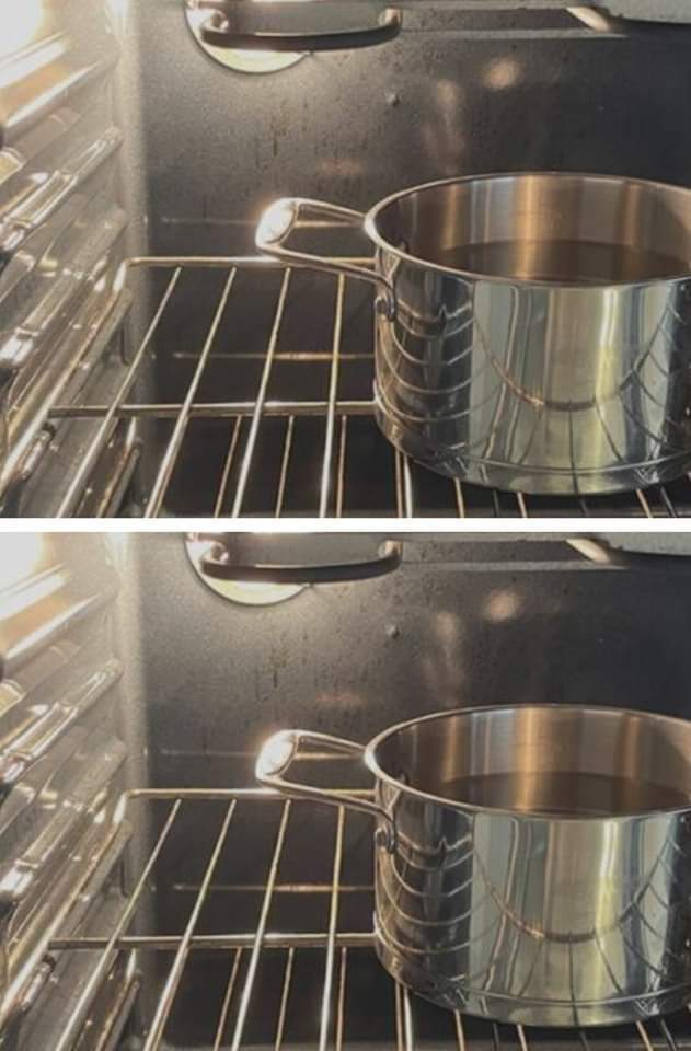 How to clean and descale the oven using the pot method