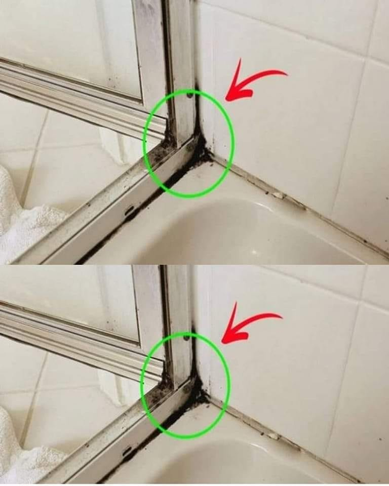 The Fastest Way to Get Rid of Shower Silicone Mildew