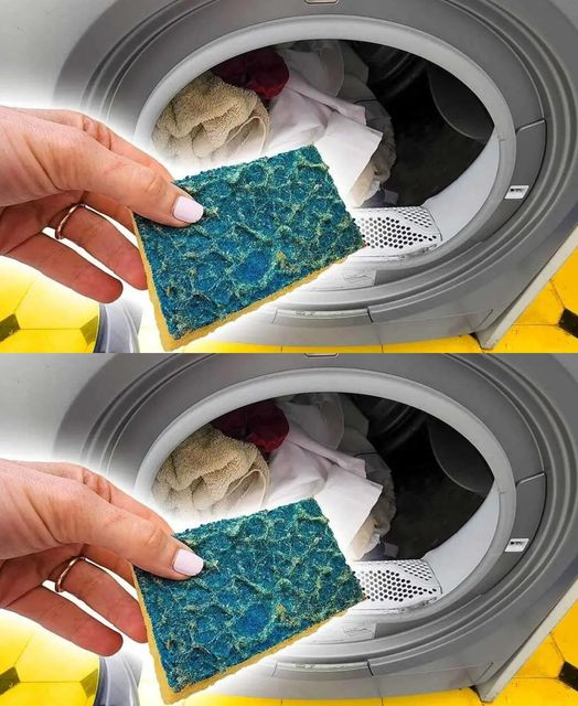 Throwing a dishwashing sponge into the washing machine: The magic trick that solves a common problem