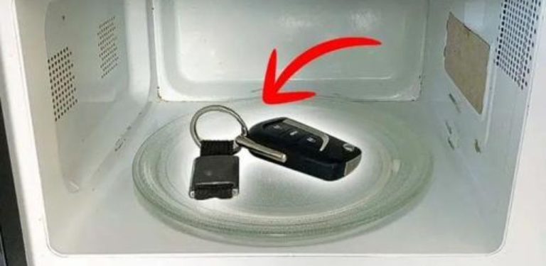 Leaving your car keys in the microwave: the smart thing everyone does