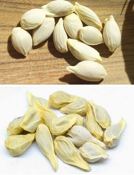 With these seeds you can relieve headaches