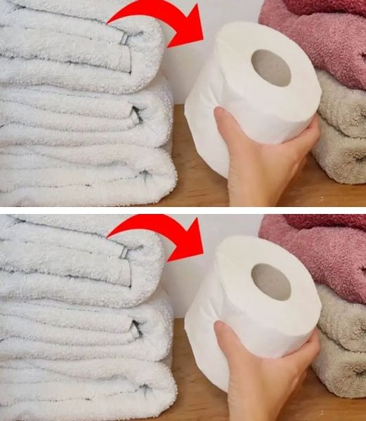 Put toilet paper in your closet, you will be surprised by the results